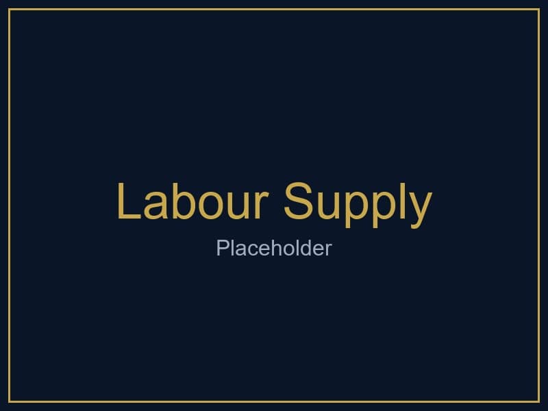 Labour Supply
